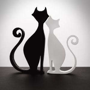 Gatti NeroBianco